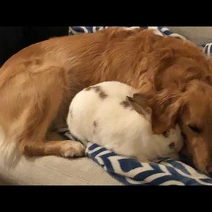 Meet your Posher, Luc